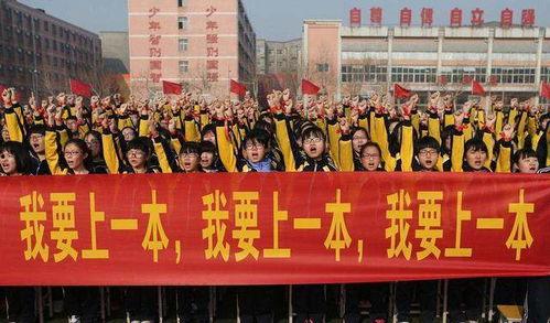 桃城中学爆料者发声视频,揭秘校园内幕