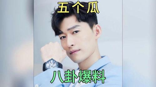 娱乐圈吃瓜言情小说,瓜田里的甜蜜爱情  第3张