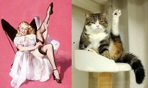 某女子吃猫视频被爆料,引发社会广泛关注与谴责