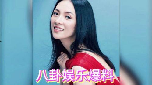 吃瓜明星网红圈是谁啊,揭秘娱乐圈背后的秘密世界  第2张